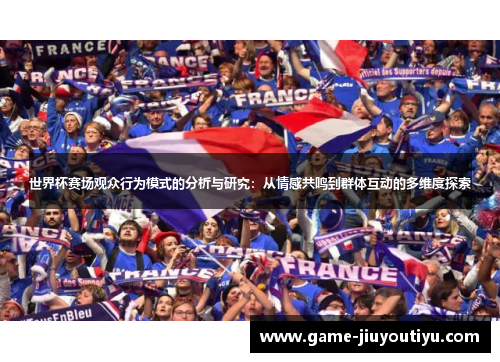 世界杯赛场观众行为模式的分析与研究：从情感共鸣到群体互动的多维度探索