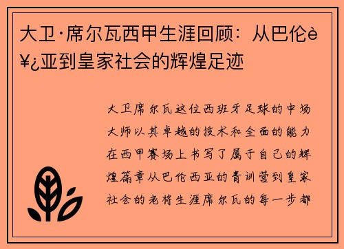 大卫·席尔瓦西甲生涯回顾：从巴伦西亚到皇家社会的辉煌足迹