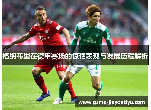 格纳布里在德甲赛场的惊艳表现与发展历程解析