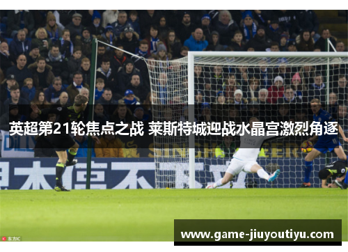 英超第21轮焦点之战 莱斯特城迎战水晶宫激烈角逐