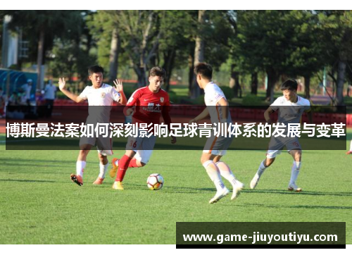 博斯曼法案如何深刻影响足球青训体系的发展与变革